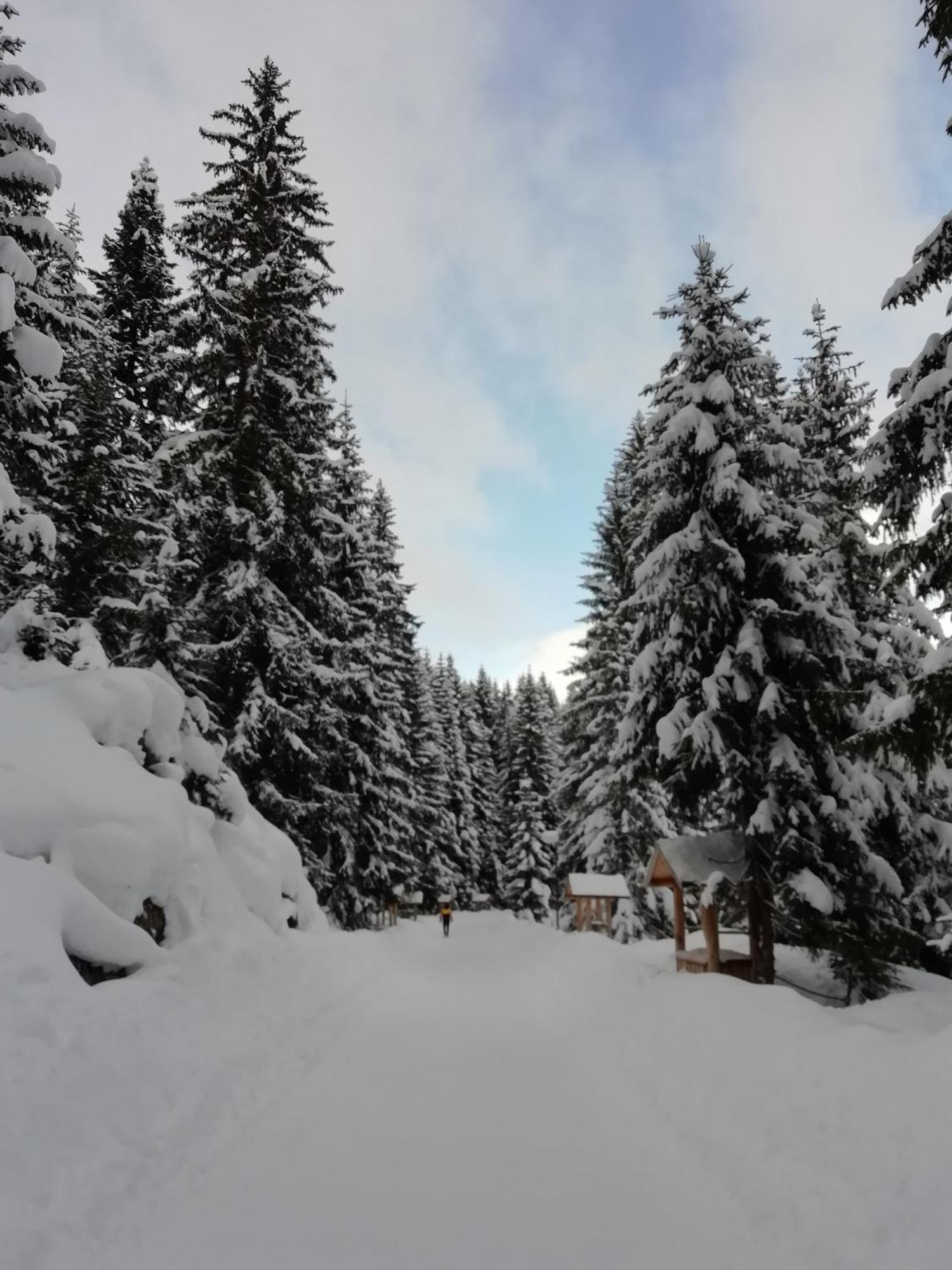 Chalet Kovacevic Žabljak Exterior foto